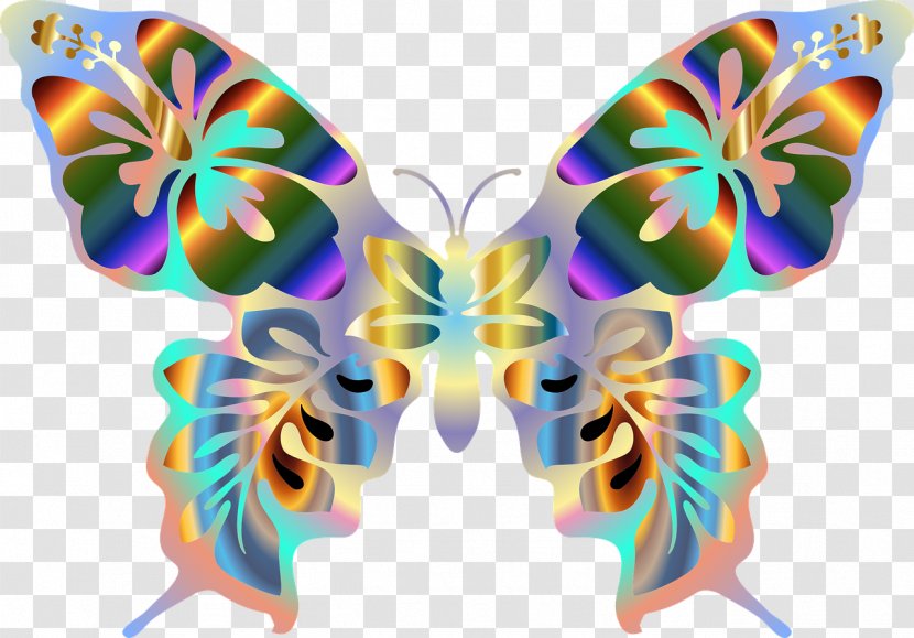 Butterfly Clip Art - Symmetry - Butterflies Transparent PNG