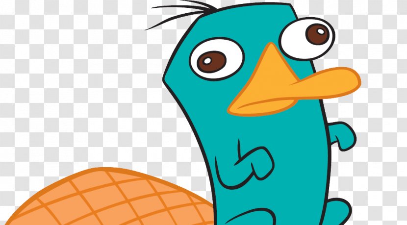 Perry The Platypus Phineas Flynn Ferb Fletcher Drawing - Wing - Television Show Transparent PNG
