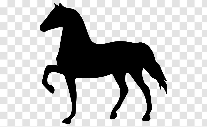 Horseshoe Shape - Animal - Horse Transparent PNG