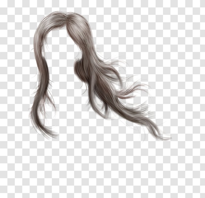 Long Hair Coloring Wig Moustache - Lucas Biglia Transparent PNG