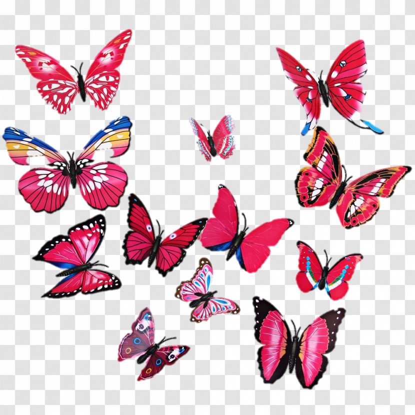 Butterfly Wall Sticker Room Painting - Frame Transparent PNG