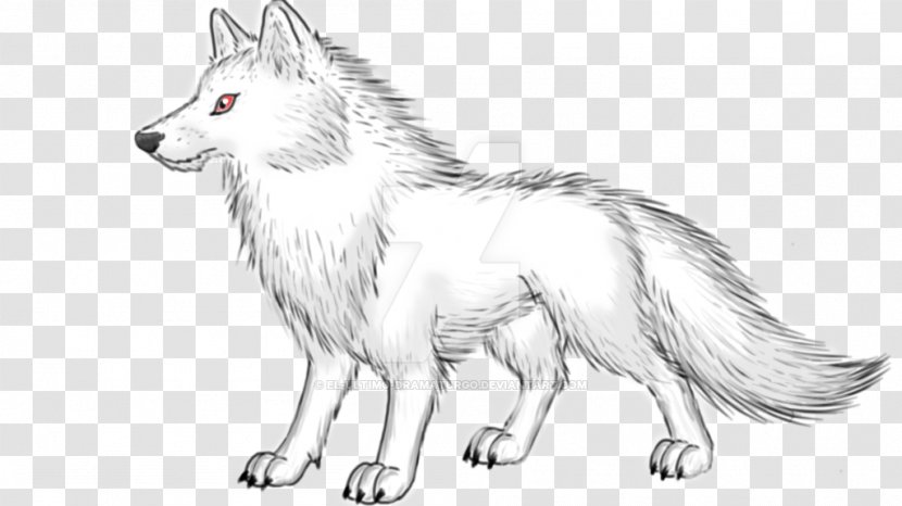 Dog Breed Alaskan Tundra Wolf Sketch Red Fox By Karina Halle - Drawing Transparent PNG