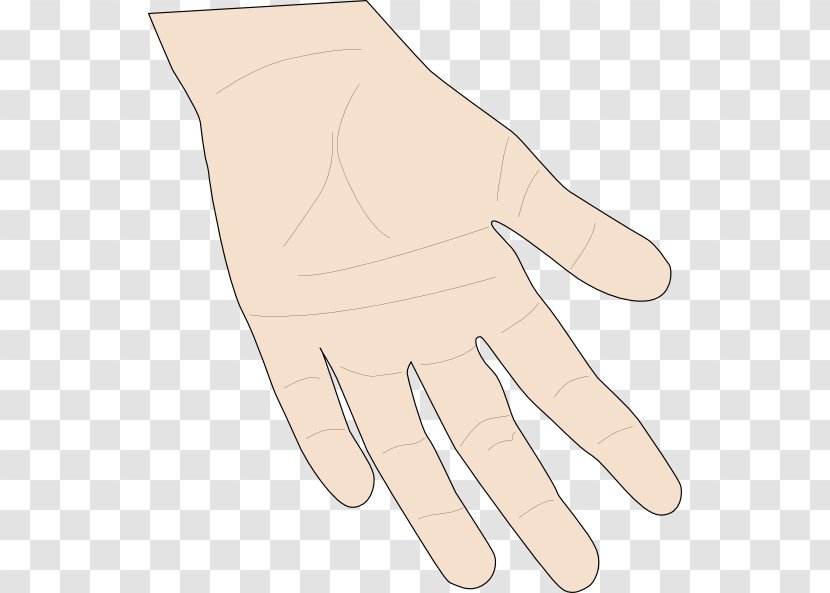 Download Hand Clip Art - Frame - The Palm Of Your Transparent PNG