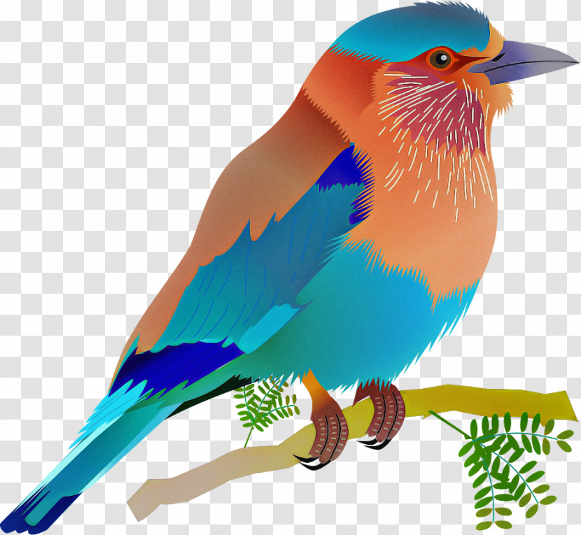 Bird Beak Eastern Bluebird Bluebird Roller Transparent PNG