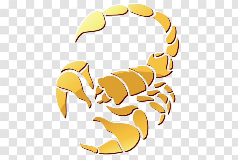 Dungeness Crab Scorpion Zodiac Astrology - Water Transparent PNG