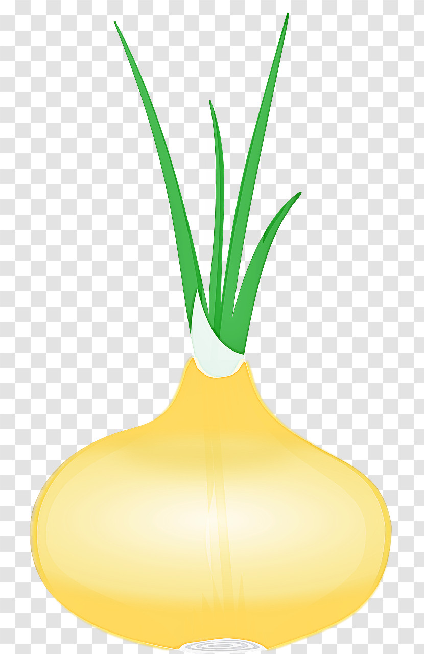 Vegetable Yellow Allium Plant Leaf Transparent PNG