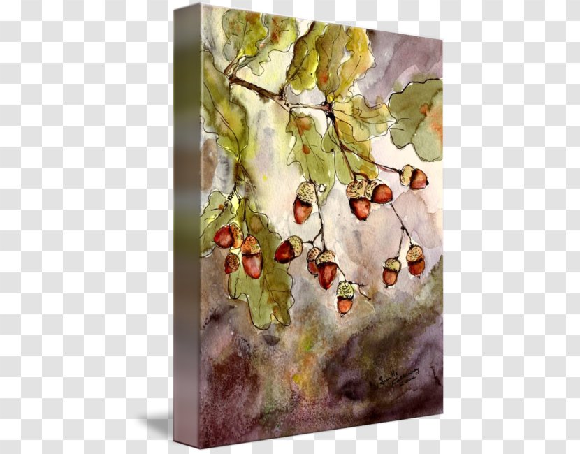Watercolor Painting Acorn Oak Leaf - Drawing - Botanical Transparent PNG