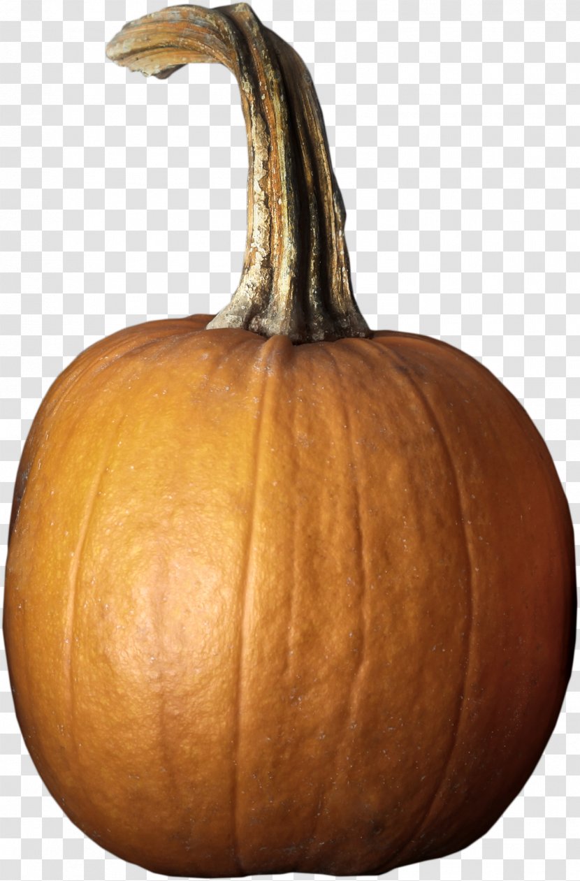 Pumpkin Calabaza Cucurbita Maxima Winter Squash - Vecteur - Creative Orange Transparent PNG