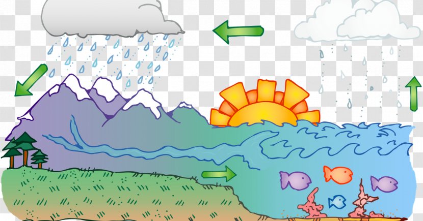 Water Cycle Diagram Clip Art - Ecosystem - Area Transparent PNG
