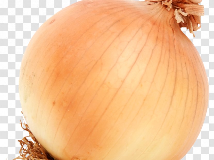 Yellow Onion Red Hamburger Vegetable - Winter Squash Transparent PNG