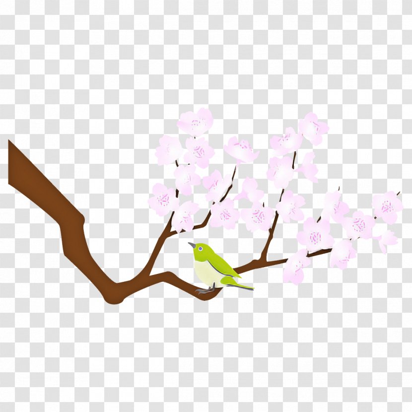 Branch Twig Lilac Plant Flower - Tree - Stem Transparent PNG