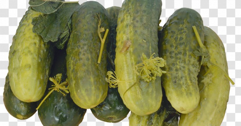 Pickled Cucumber Pickling Vegetable Salting - Zucchini Transparent PNG