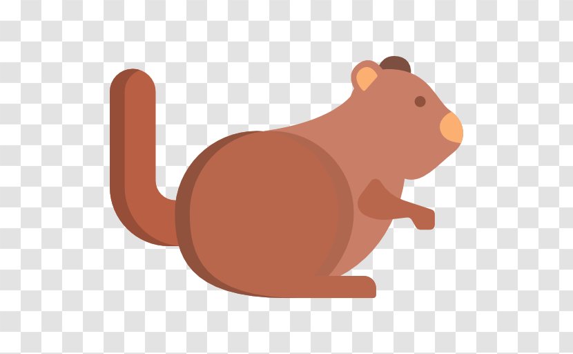 Rodent Mouse Rat Mammal Murids - Squirrel Transparent PNG