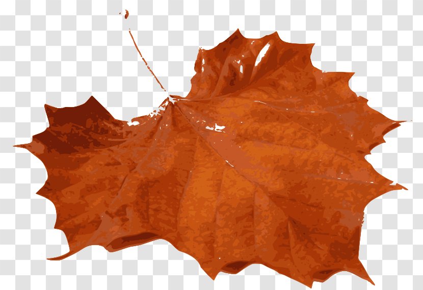 Autumn Leaf Color Clip Art - Dew Transparent PNG