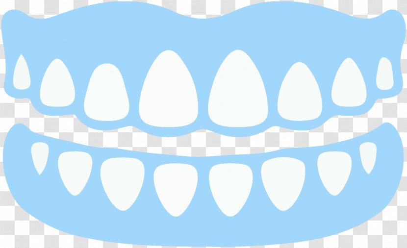 Dentures Dentistry Dental Implant Removable Partial Denture - Tree Transparent PNG