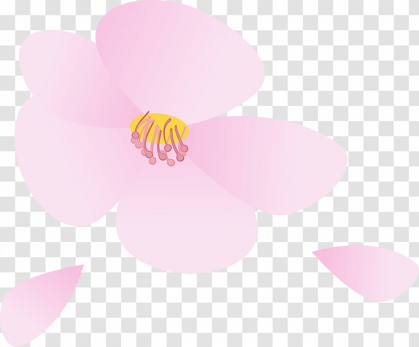 Pink Petal Flower Magenta Plant Transparent PNG