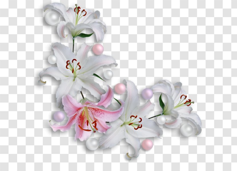 Picture Frames Information Floral Design - Esquineros Transparent PNG