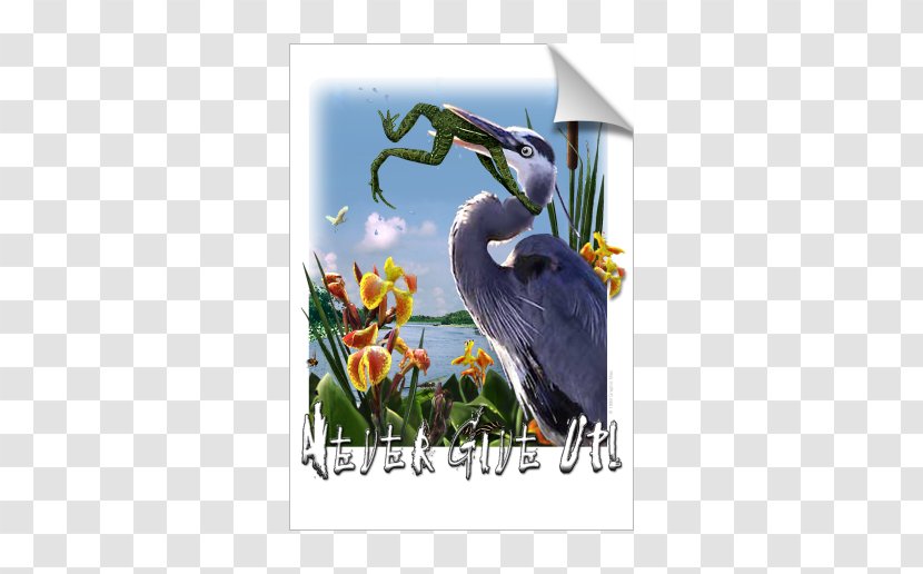 Frog Swallow Great Blue Heron Bird Grey - John James Audubon Transparent PNG