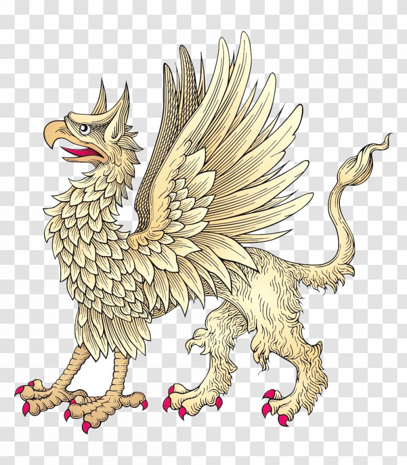 Lion Griffin - Bird - Flying Dragon Transparent PNG