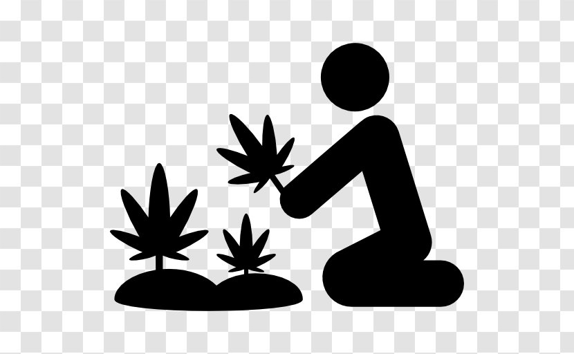 Cannabis Cultivation Hemp Medical - Dispensary - Marihuana Transparent PNG