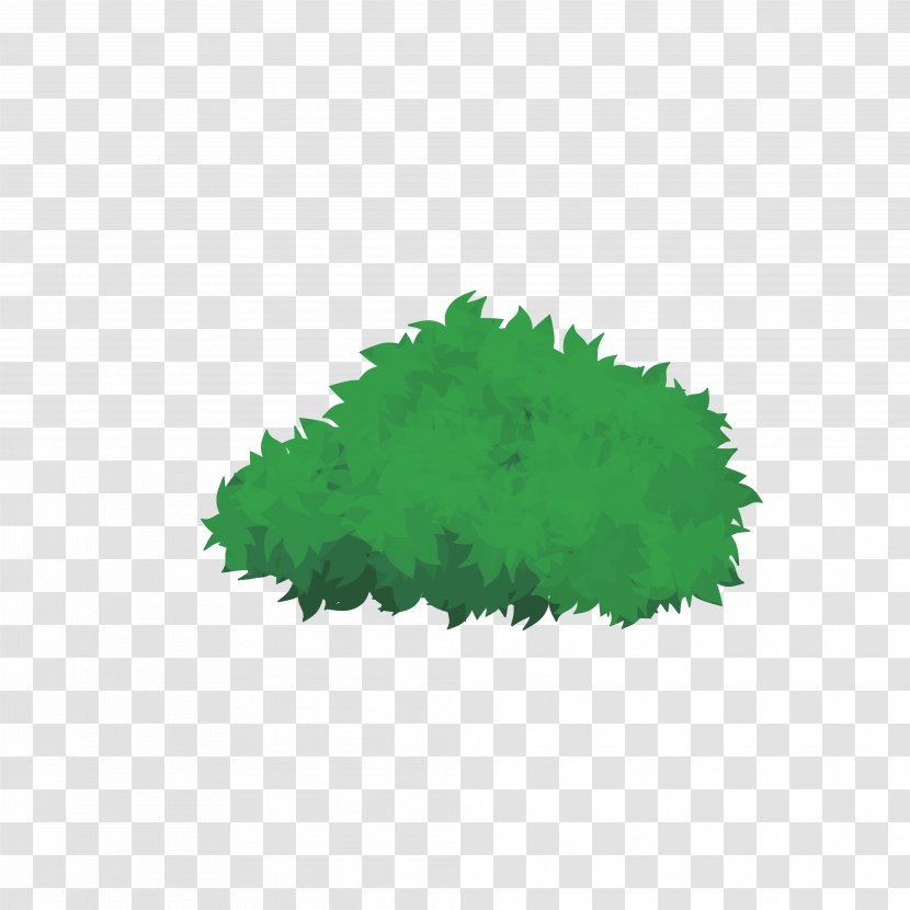 Leaf - Grass - Tree Transparent PNG