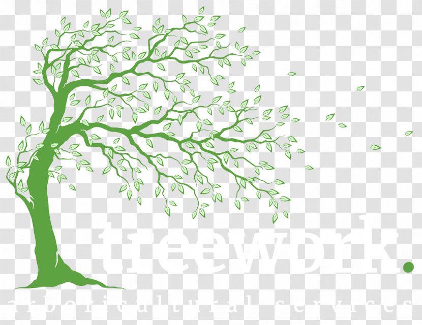 Tree Arborist Branch Woody Plant - Planting - Pruning Trees Transparent PNG