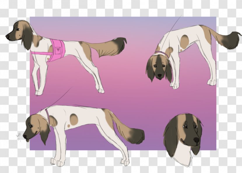 Dog Breed English Foxhound Sporting Group - Paw - Carnivoran Transparent PNG