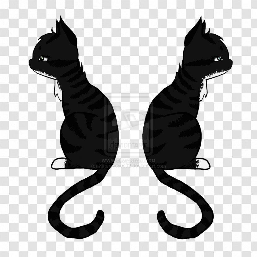 Cat Kitten Whiskers Dog Paw - Tail - Smoky Black And White Transparent PNG