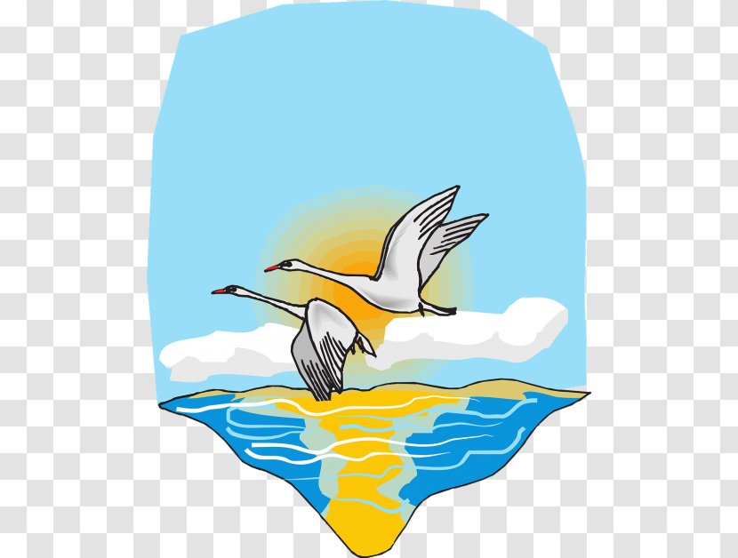Crane Bird - Swan - Whooping Wing Transparent PNG