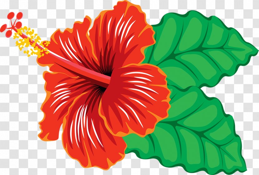 Yellow Hibiscus Clip Art - China Rose - Tropical Leaf Transparent PNG