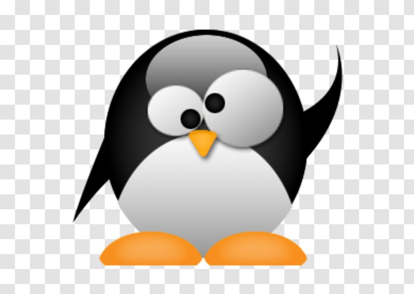 Penguin Desktop Wallpaper Computer Beak Clip Art - Flightless Bird Transparent PNG