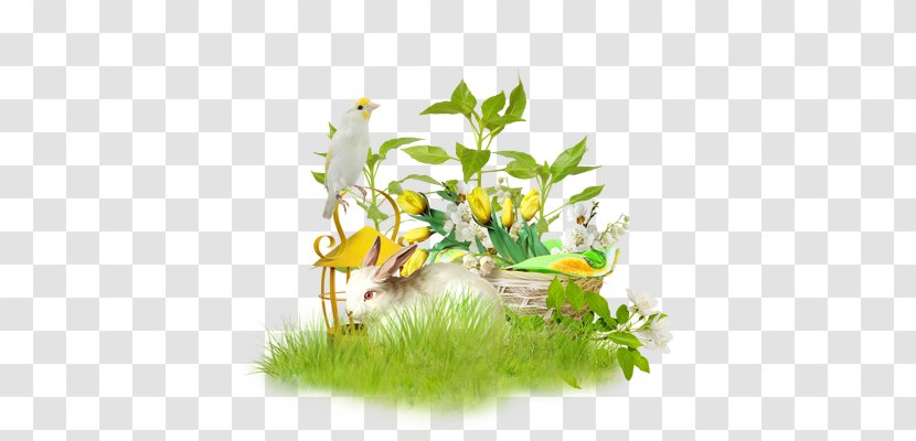 Easter Egg Paschal Greeting Friendship Holiday Transparent PNG