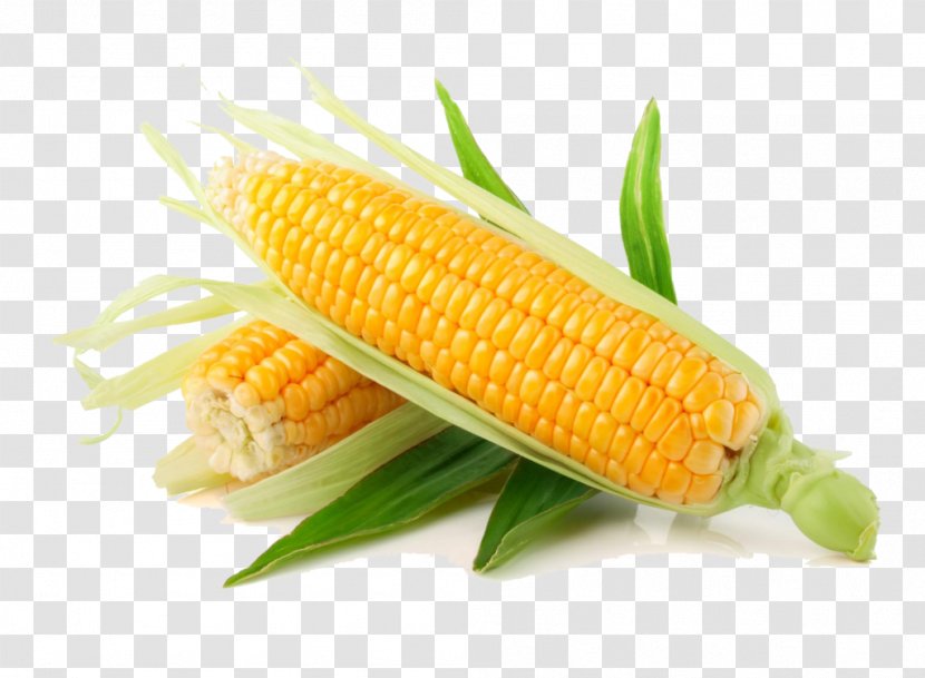 Corn On The Cob Flint Sweet Organic Food Cereal - Vegetarian - Vegetable Transparent PNG