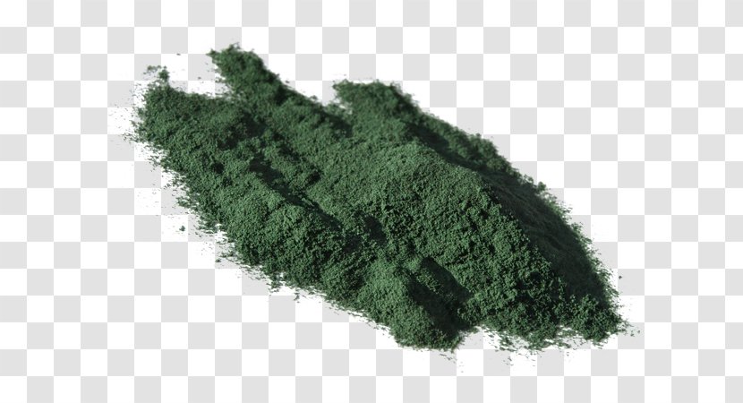 Spirulina Dietary Supplement Blue-green Bacteria Arthrospira Platensis Food - Grass - Powder Transparent PNG