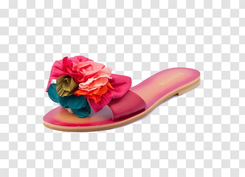 Slipper Sandal Shoe - Google Images - Ms. Sandals Large Flowers Transparent PNG