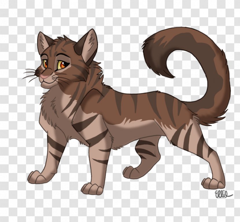 Whiskers Wildcat Red Fox Mammal - Big Cat Transparent PNG