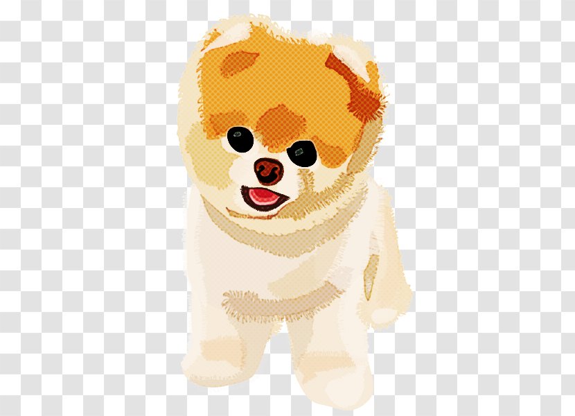 Pomeranian Dog Puppy Cartoon Shiba Inu - Spitz Transparent PNG