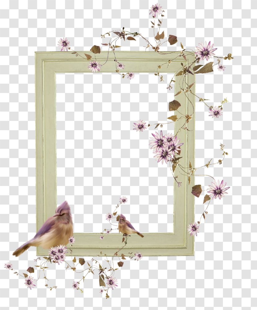 Picture Frames PhotoFiltre Flower - Christmas Transparent PNG