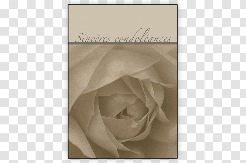 Condolences Mourning Death Funeral Greeting & Note Cards - Card - Sincere Invitation Transparent PNG