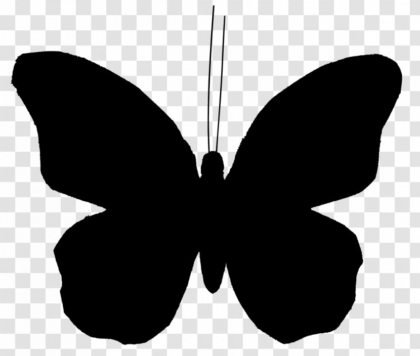 Clip Art Butterfly Vector Graphics Illustration Image - Black - Invertebrate Transparent PNG