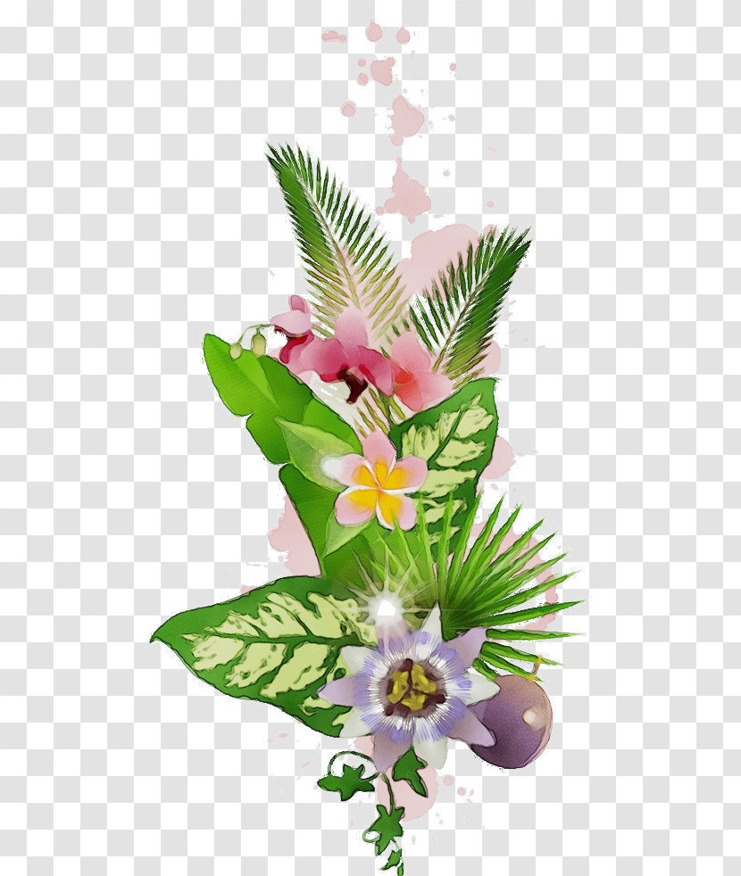 Floral Design Transparent PNG