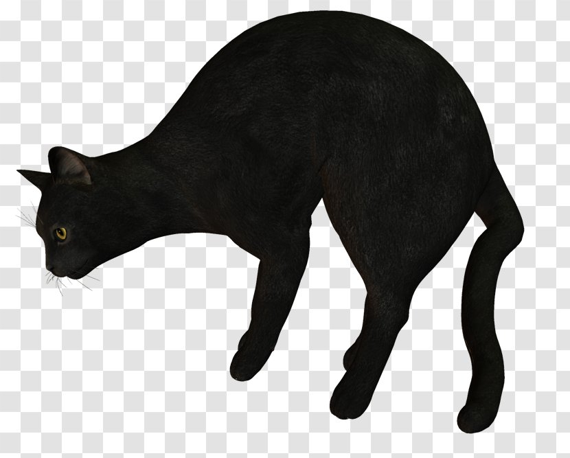 Black Cat Domestic Short-haired Whiskers Clip Art - Like Mammal Transparent PNG