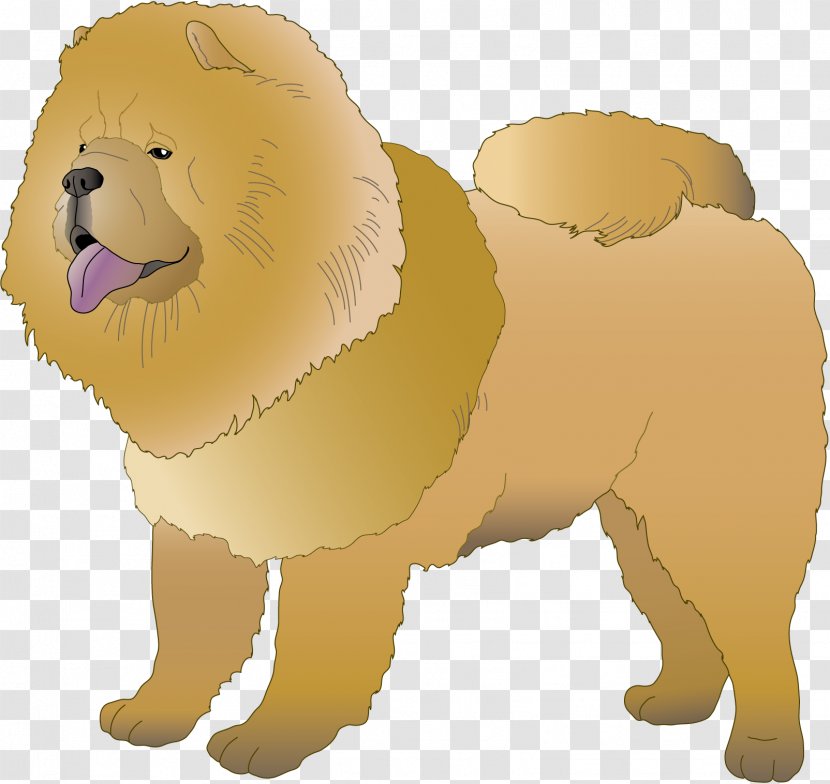 Pomeranian Puppy Canidae Dog Breed - Group Transparent PNG