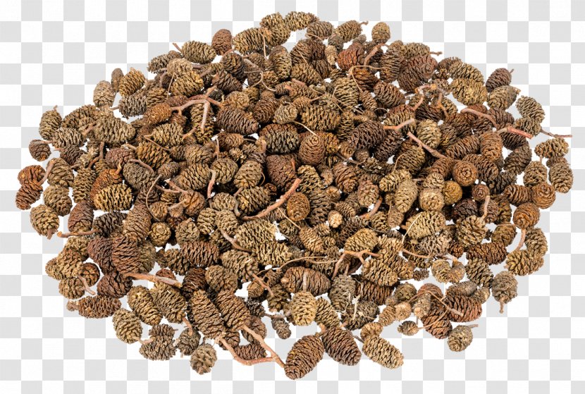 Alnus Glutinosa Strobilus Conifer Cone Douglas Fir Pinus Halepensis - Seed - Vegetarian Food Transparent PNG