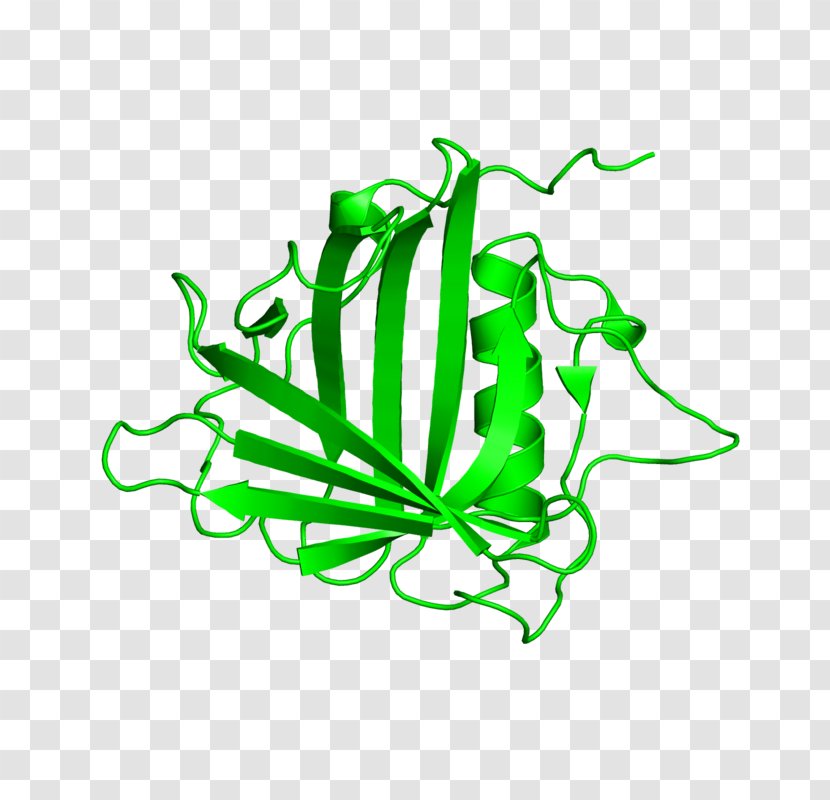Leaf Line Art Plant Stem Clip - Green Transparent PNG