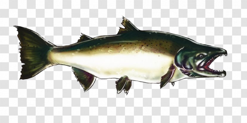 Fish Cartoon - Salmonlike - Oncorhynchus Transparent PNG