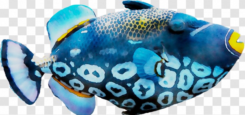 Coral Reef Fish Marine Biology - Electric Blue Transparent PNG
