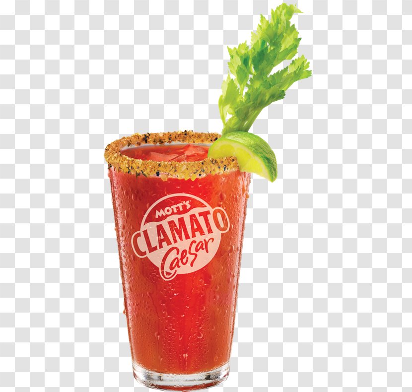 Caesar Bloody Mary Clamato Michelada Bacon Vodka - Cocktail - Grand Opening Special Food Transparent PNG
