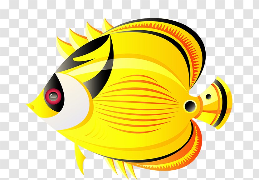 Angelfish Tropical Fish Tropics Transparent PNG