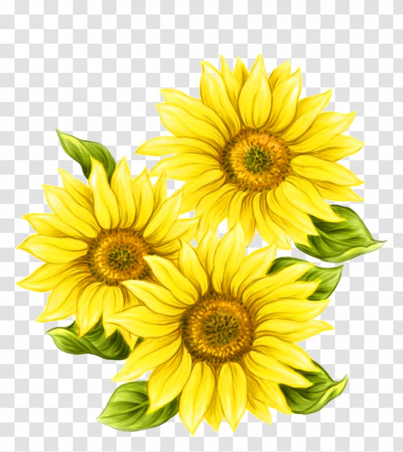 Watercolor Painting Common Sunflower - Yellow - Hand Painted Decorative Pattern Transparent PNG